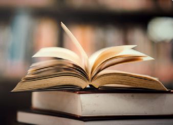 le-roman-genre-litteraire.jpg