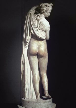 aphrodite-callipyge.jpg